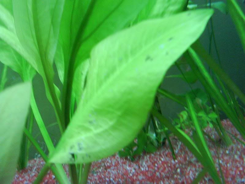 DSC01501.jpg