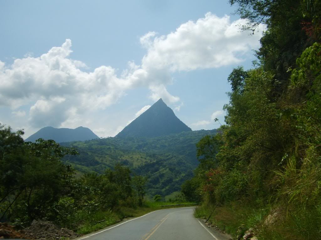 S5007868.jpg