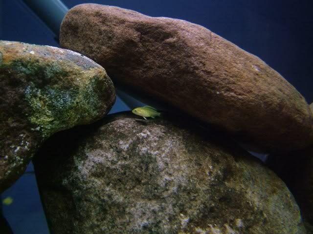 DSCF2364.jpg