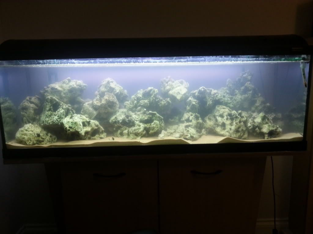 20120928_071558_zpsc0945299.jpg
