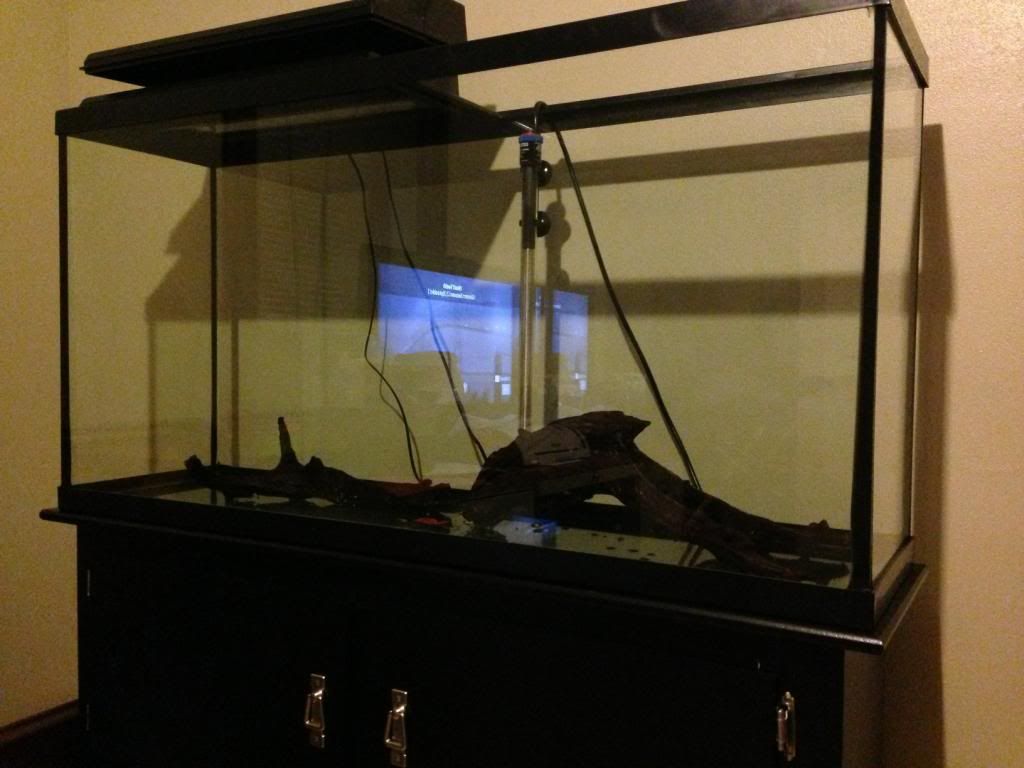 fishtank3.jpg