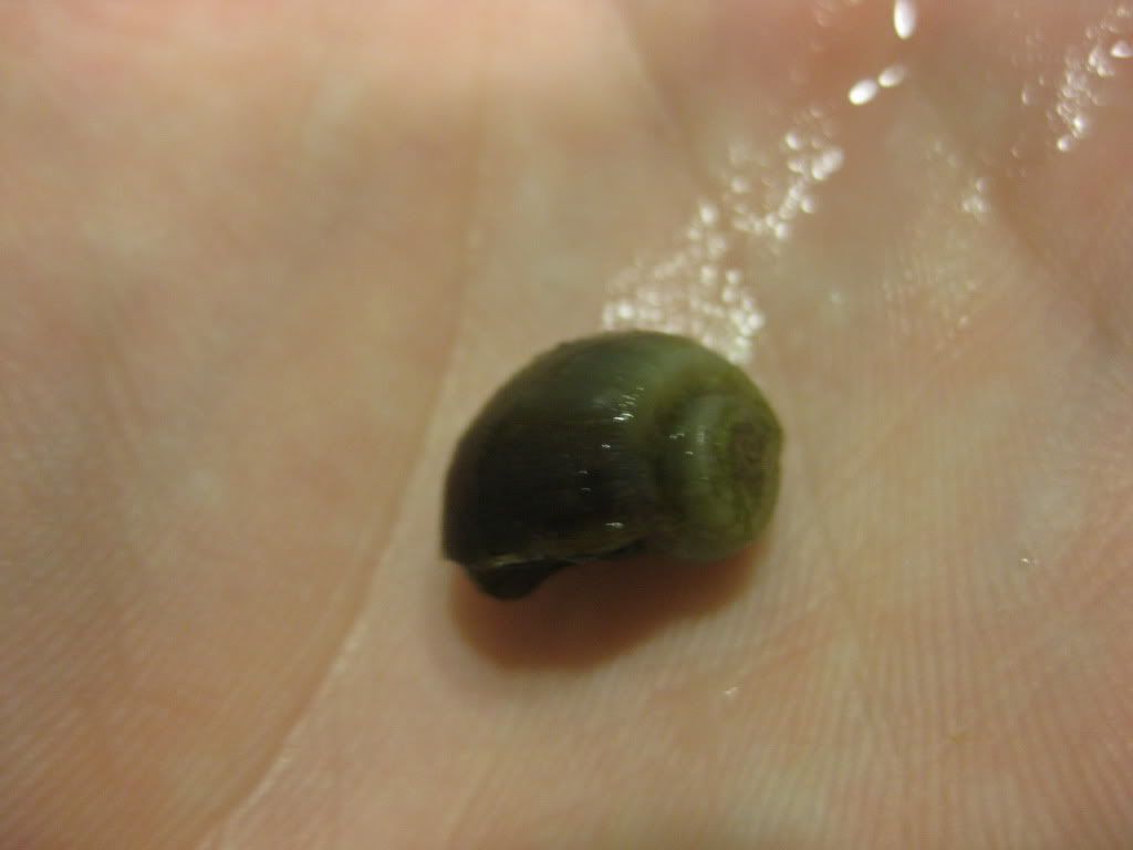 BabyGar025.jpg