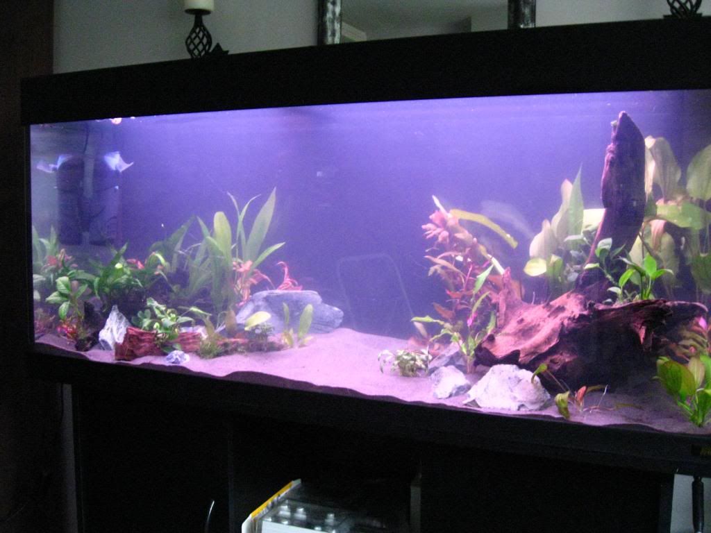 003_zps5c6c1537.jpg