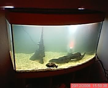 mytank.jpg