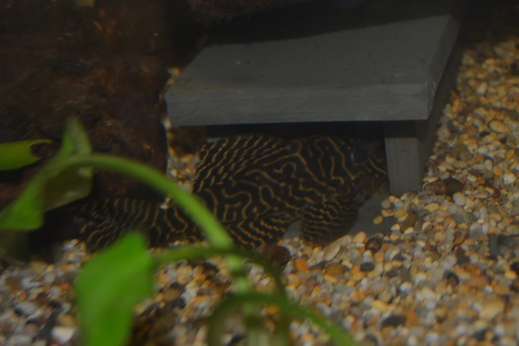 DSC_0372.jpg