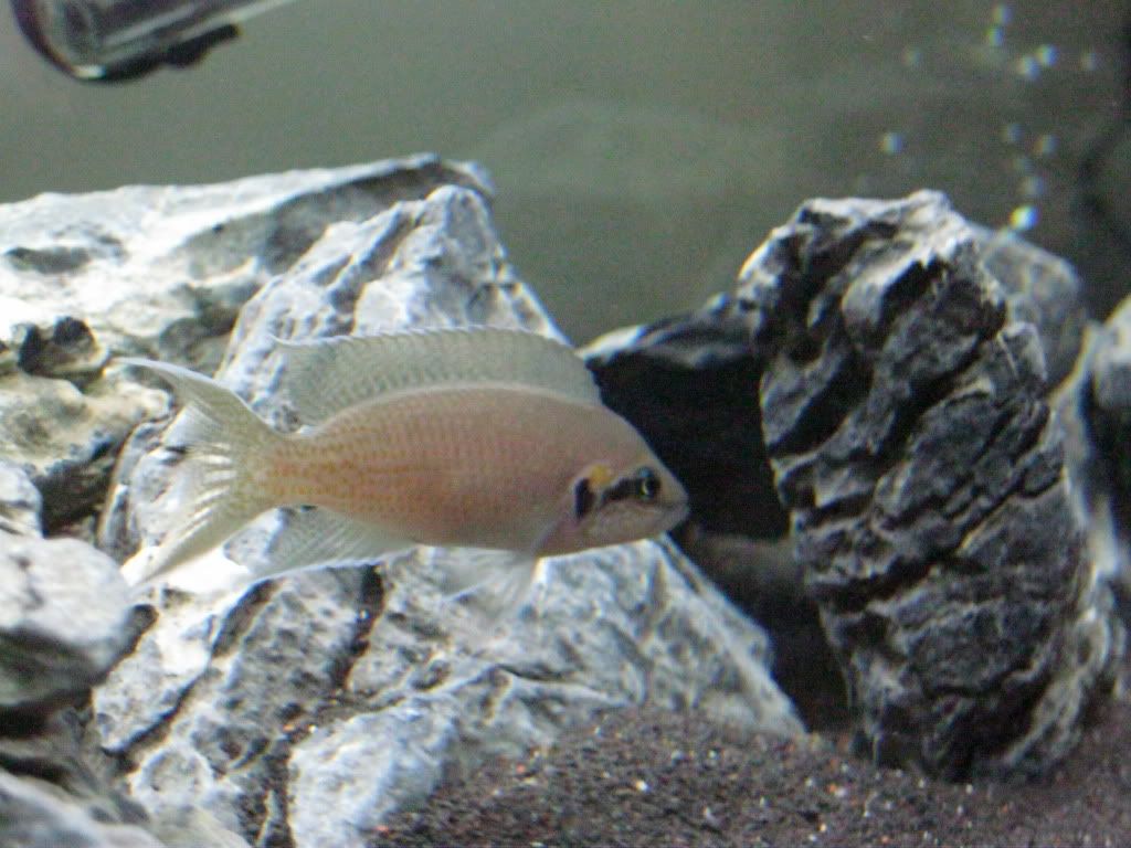 IMG_0257.jpg
