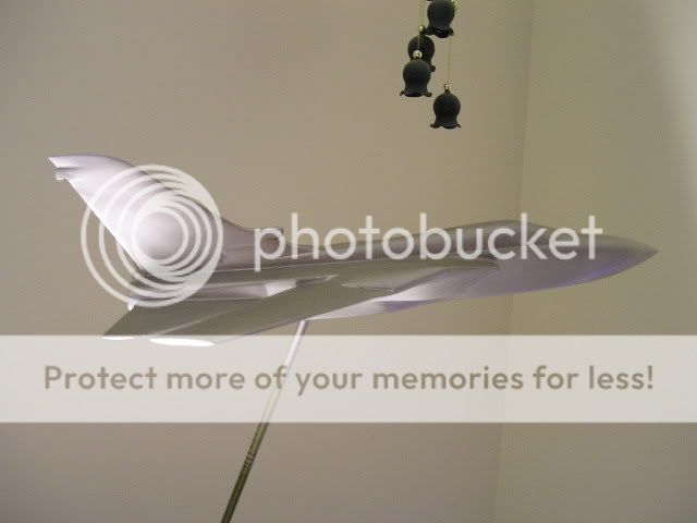 P8101061.jpg
