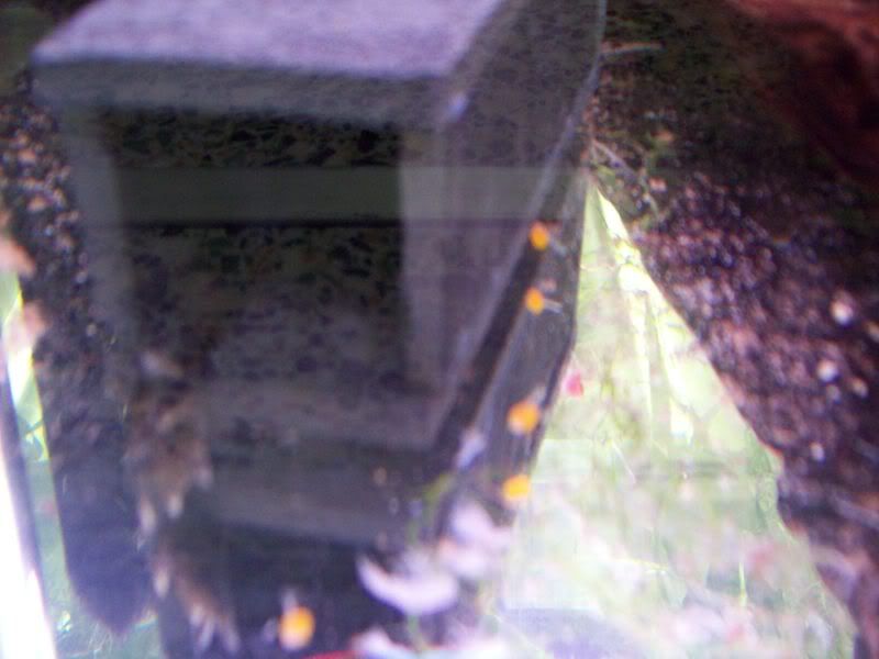 101_1486.jpg