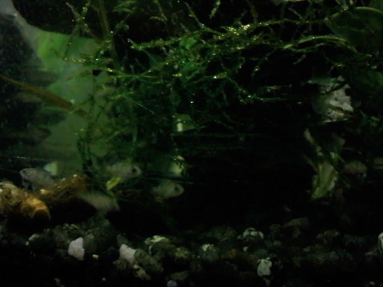 0330092015_0004.jpg