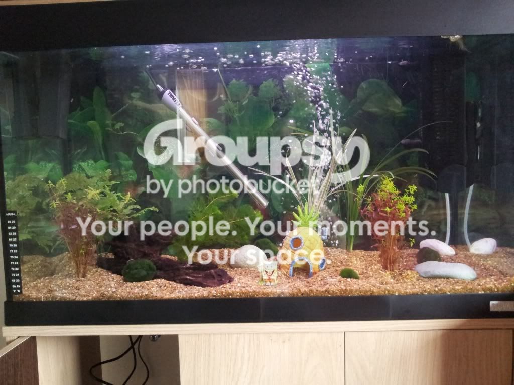 Tank2.jpg
