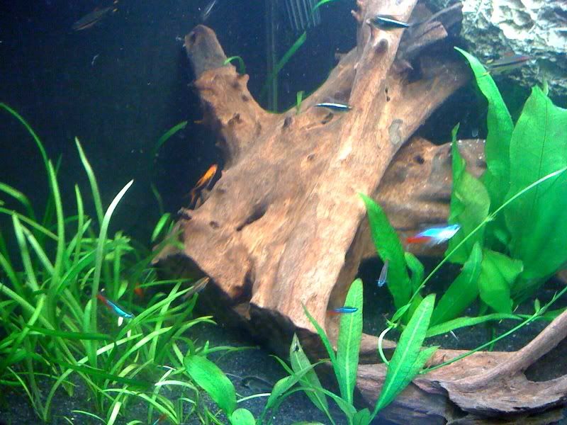 photo11.jpg