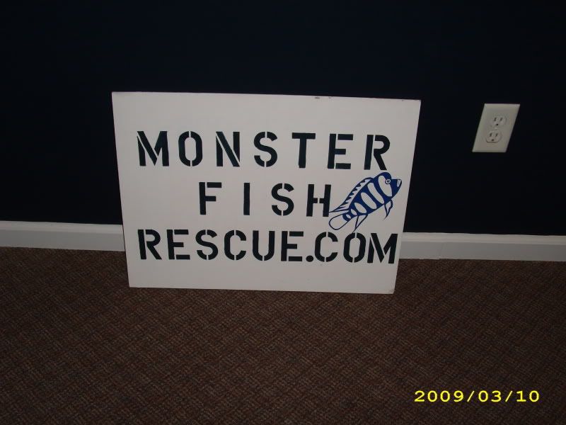 006-22.jpg