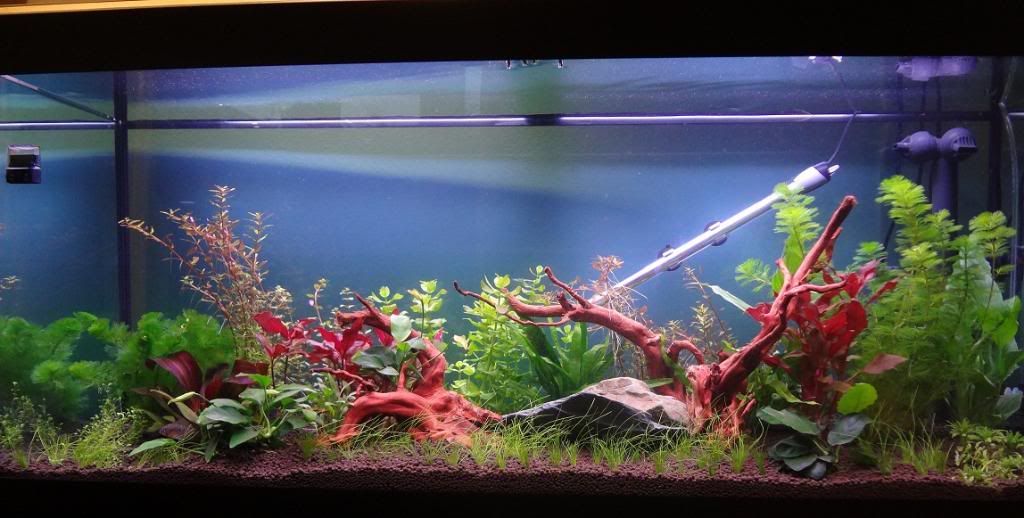 FTS30-12-11-resized.jpg