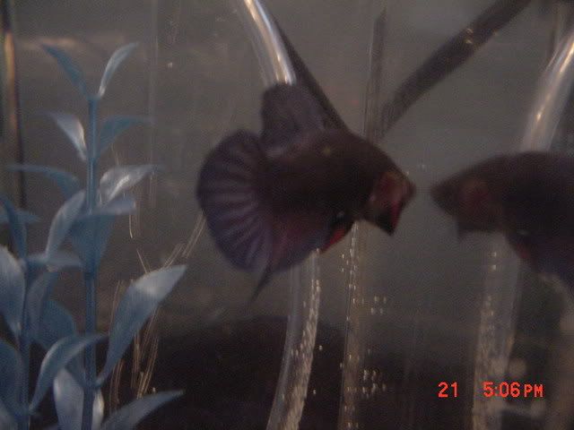 DSC00322.jpg