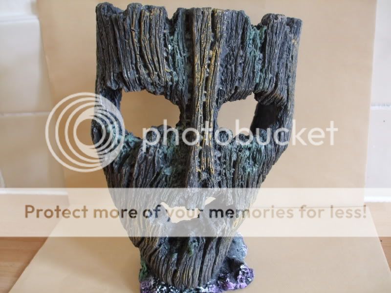 DSCF2139.jpg