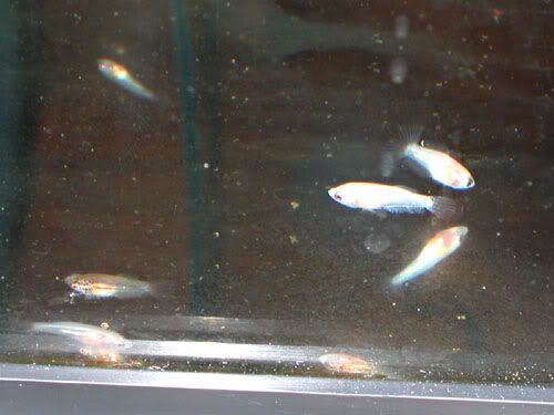 DSCN4059.jpg