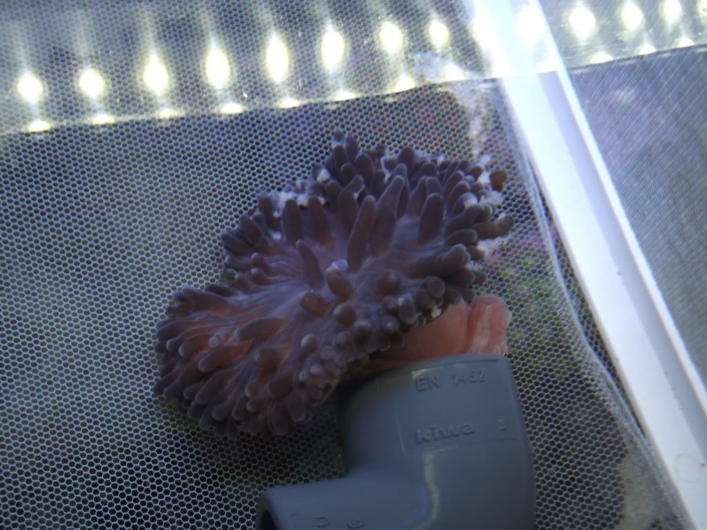 DSCF2115.jpg