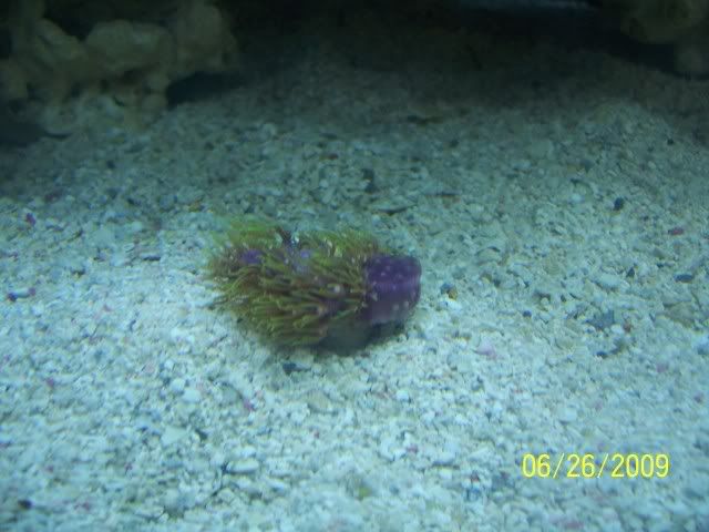 100_6933.jpg
