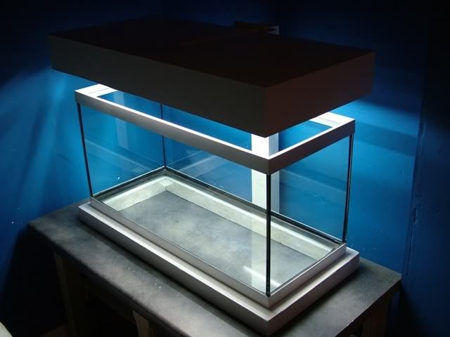 DSCF0767.jpg