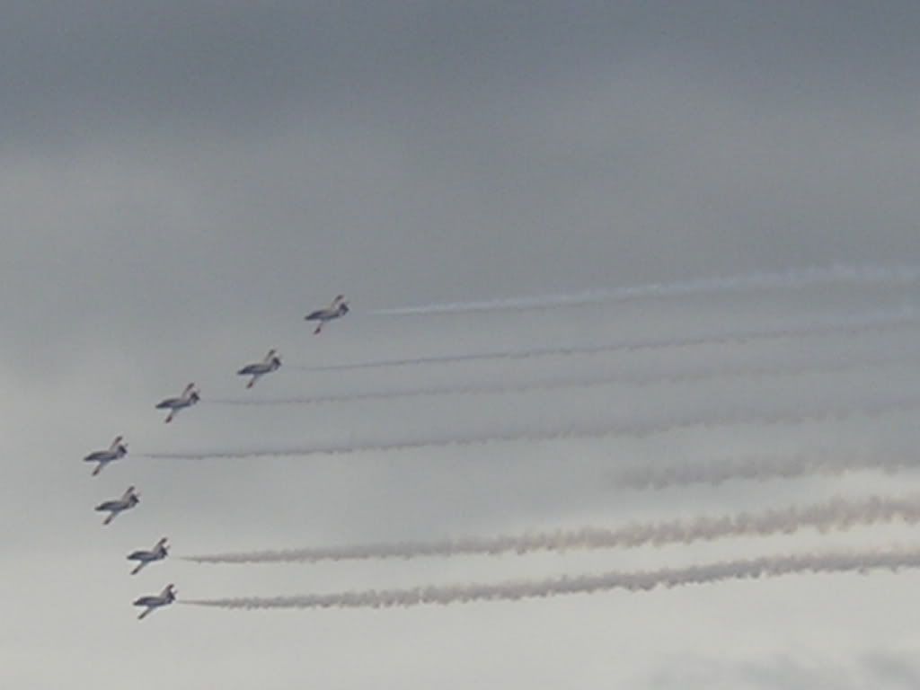 waddington070.jpg
