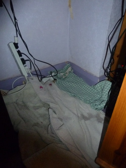 tumblr_mtpv7y2qTR1s0off3o2_500.jpg