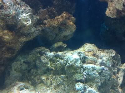 IMG_0980.jpg