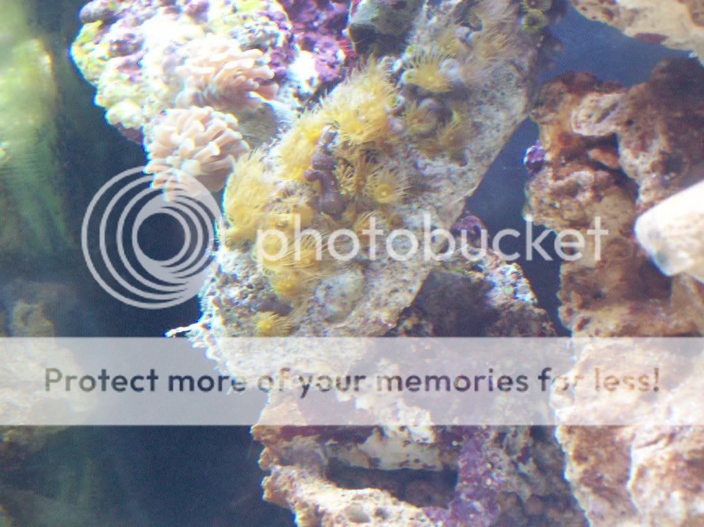 aquarium010.jpg
