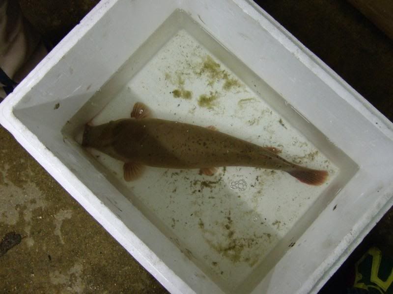 DSCF2596.jpg