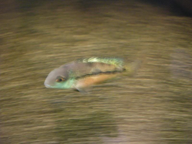 DSCN2482.jpg