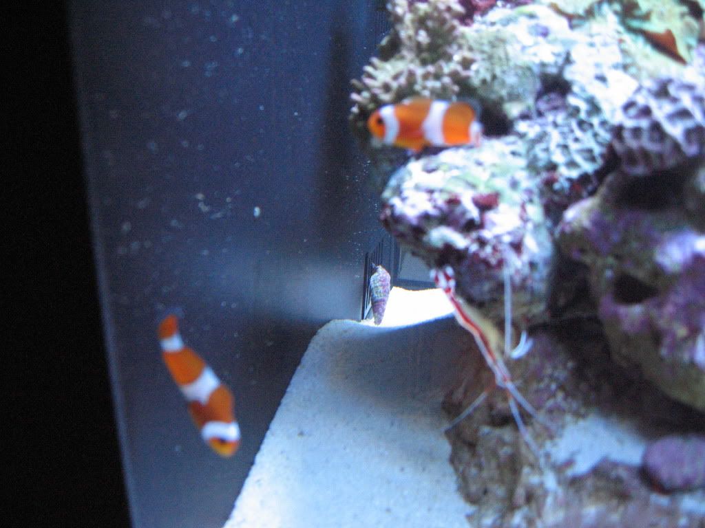 IMG_1814.jpg