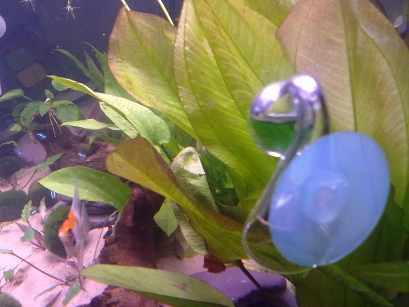 02032011254.jpg