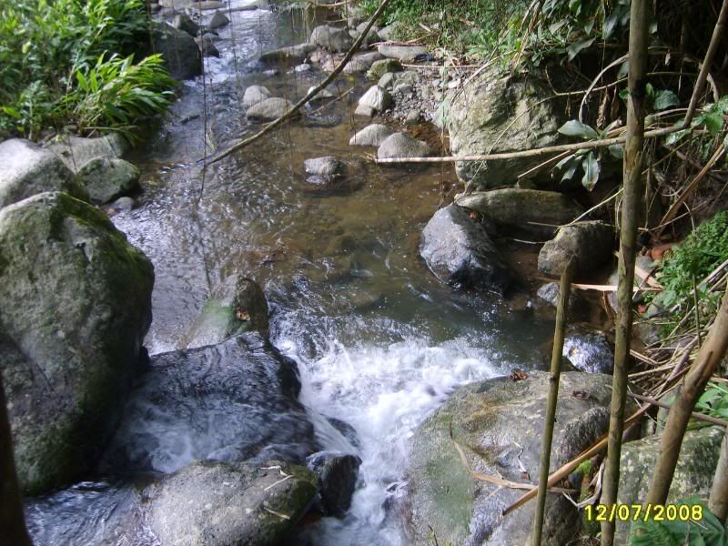 S5004880.jpg