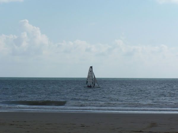 typicalbeachscene.jpg