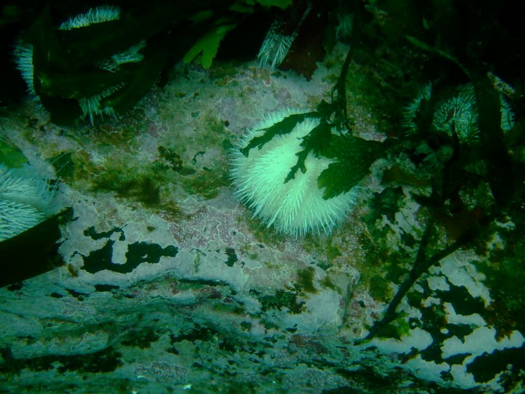 DSCF6045.jpg