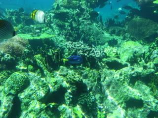 SDC12166.jpg