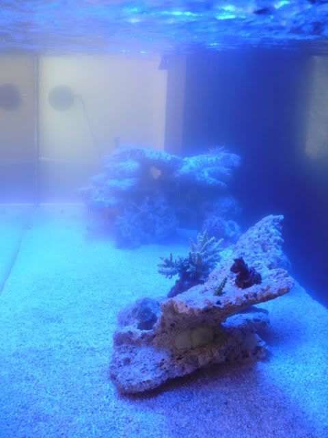 P1060053.jpg
