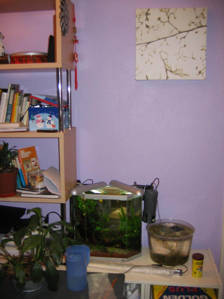 Picture039.jpg