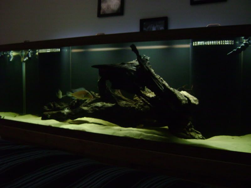 DSC01820.jpg