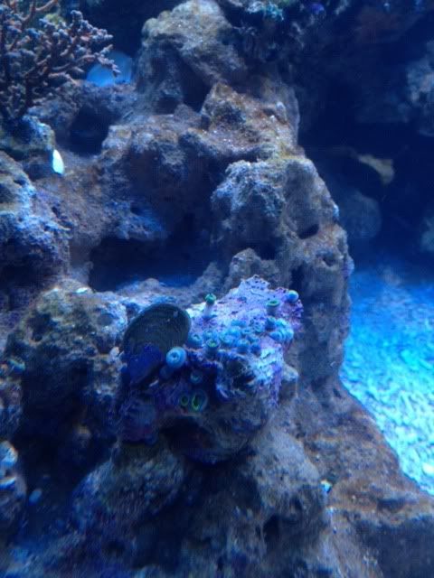 photo4-17.jpg