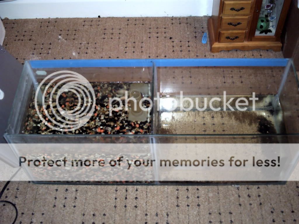 fishtank2.jpg