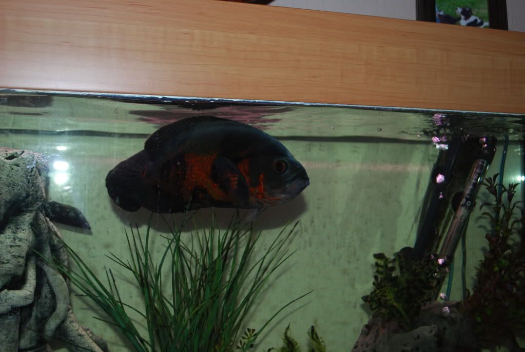 DSC_2718.jpg