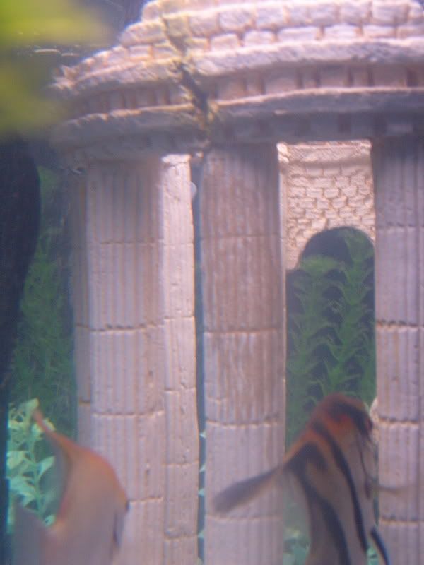 S4300220.jpg