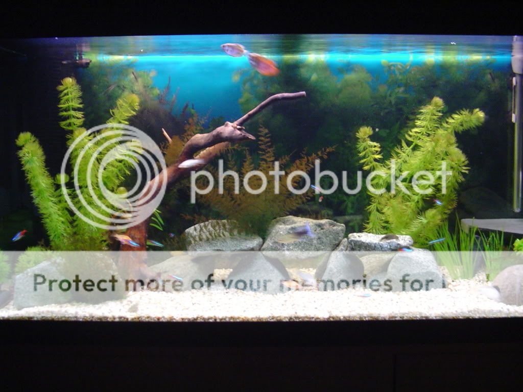 DSC01027.jpg