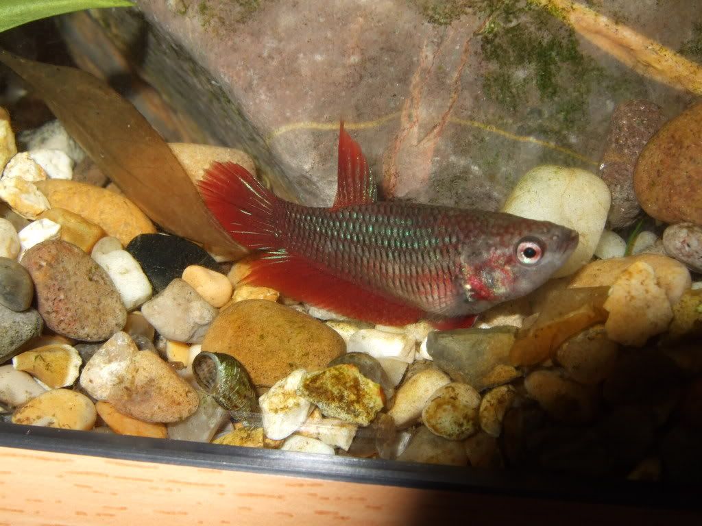 DSCF5265.jpg
