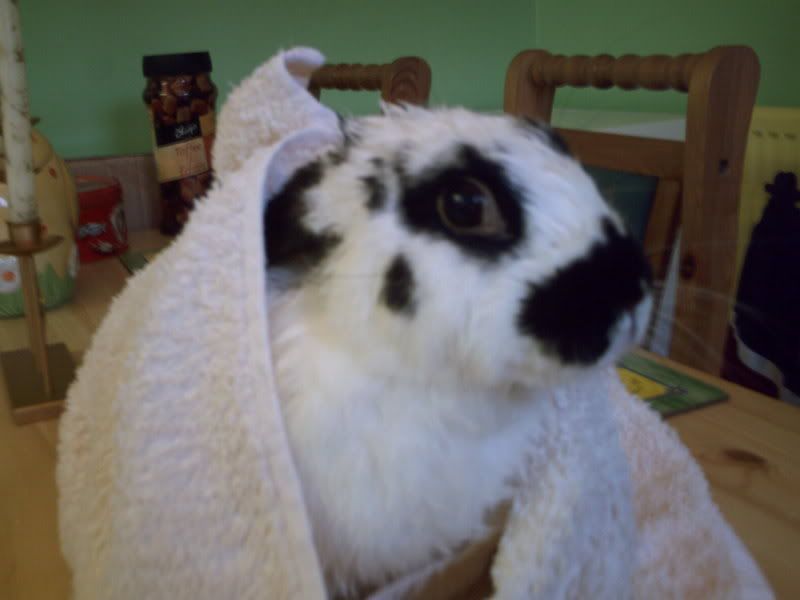 IMAG0163.jpg