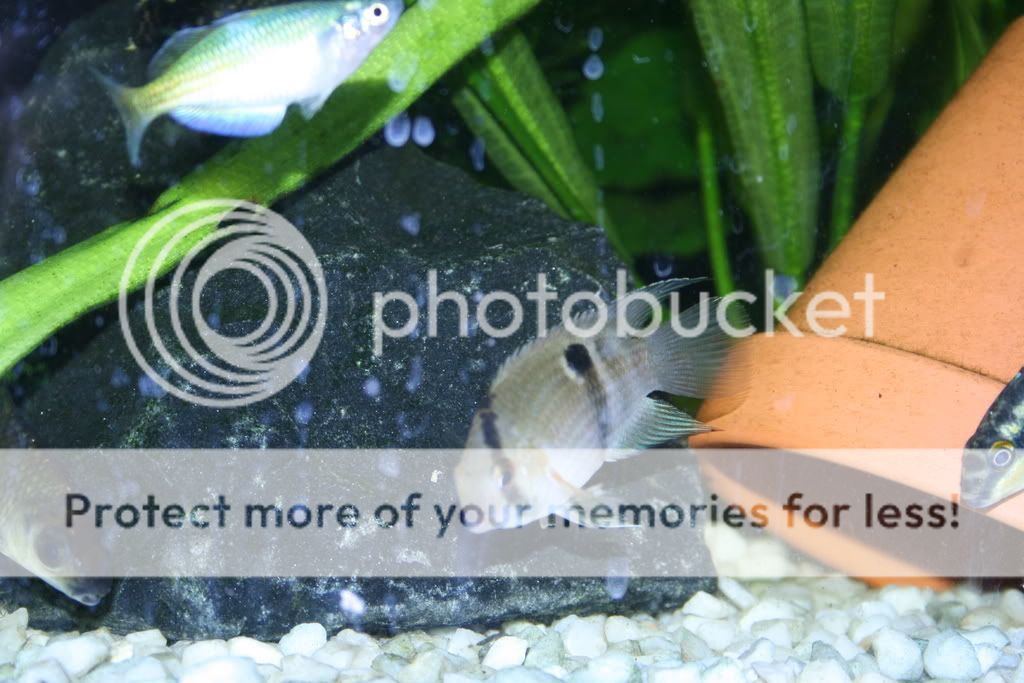 IMG_0629.jpg