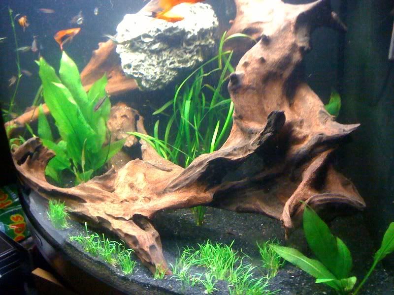 photo6.jpg