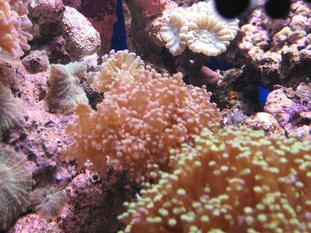 IMG_1793.jpg