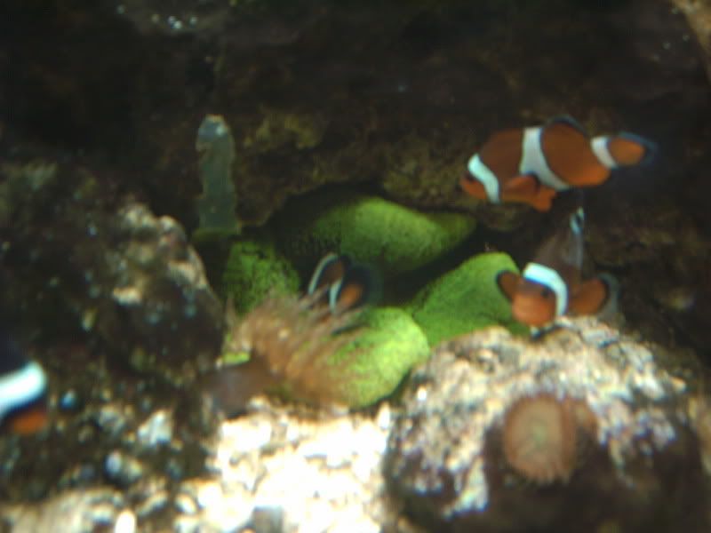 blueplanet016.jpg
