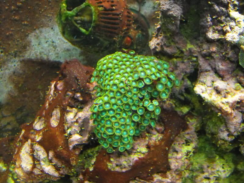 2008_09239_23_080006.jpg